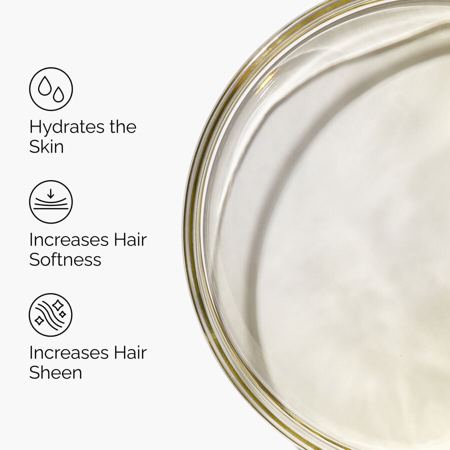 100-organic-cold-pressed-moroccan-argan-oil-t9 FY25-D41247-ORD-Web-PDP-100-Argan-Oil-1x1-EN-3.jpg