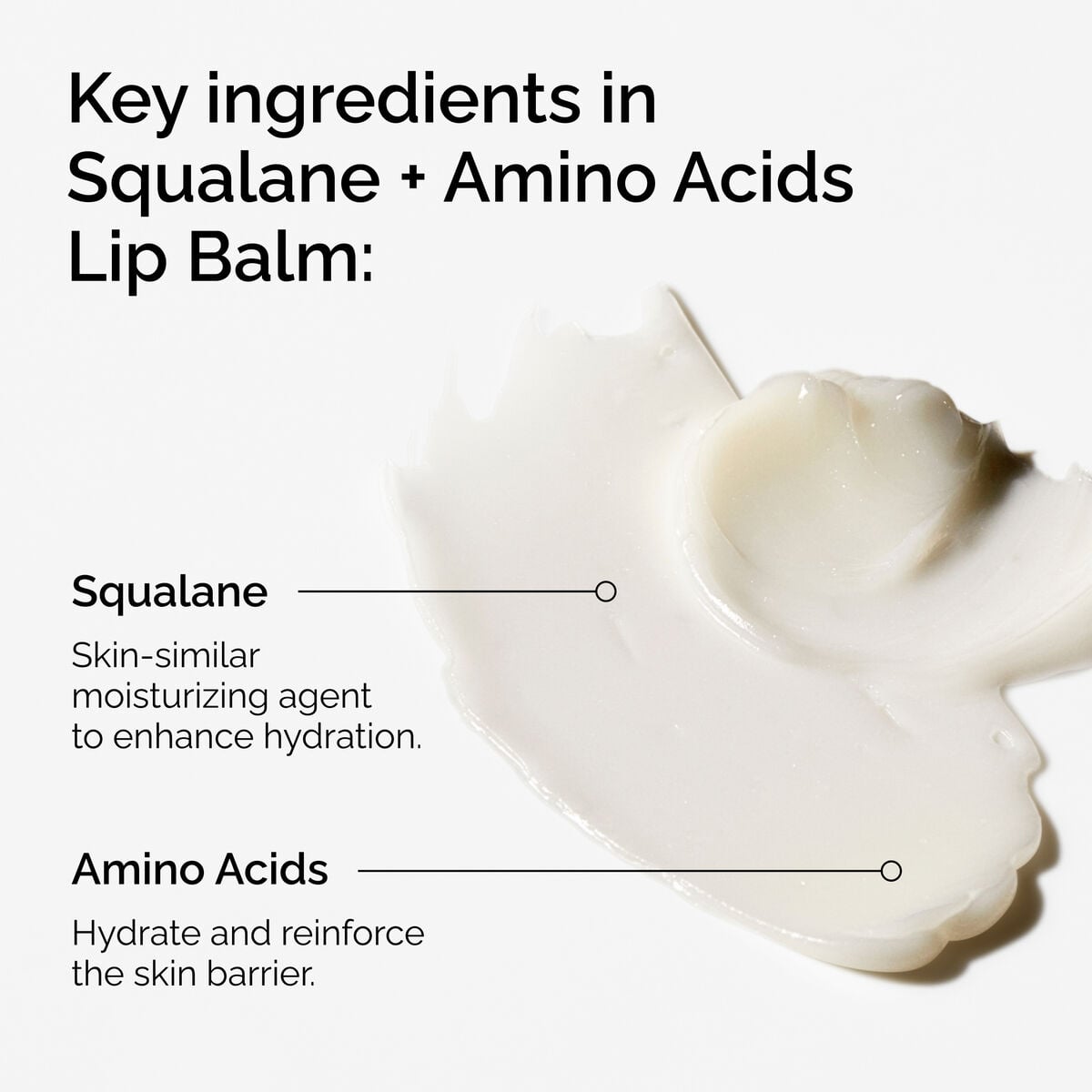 squalane-amino-acids-lip-balm-s6 FY25-D41247-ORD-Web-PDP-Sql-Amino-Lip-1x1-EN-2a.jpg