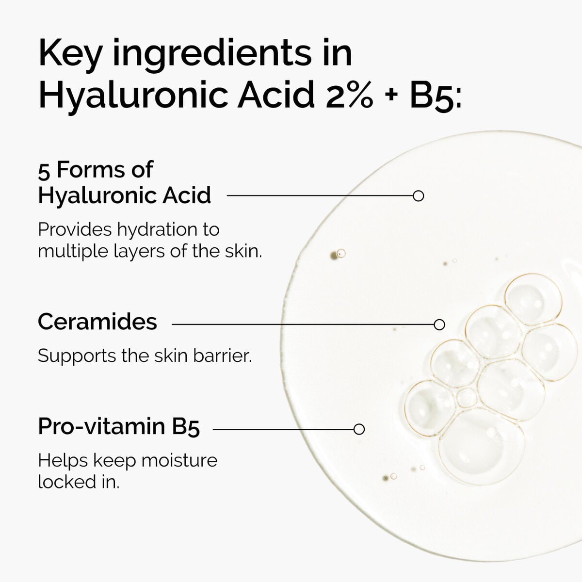 hyaluronic-acid-2-b5-with-ceramides-q1 ord-hyaluronic-acid-2pct-b5-hydrating-serum-ingredients-graphic.jpg