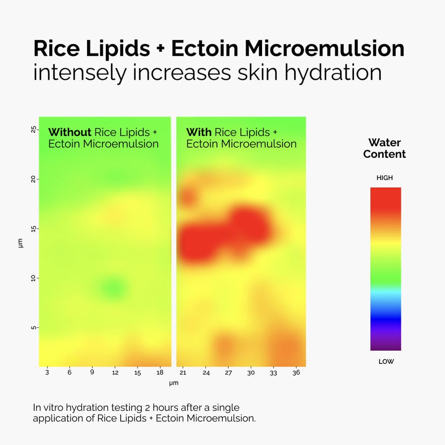 rice-lipids-ectoin-microemulsion-z8 ord-rice-lipids-ectoin-microemulsion-thermal-before-after.jpg